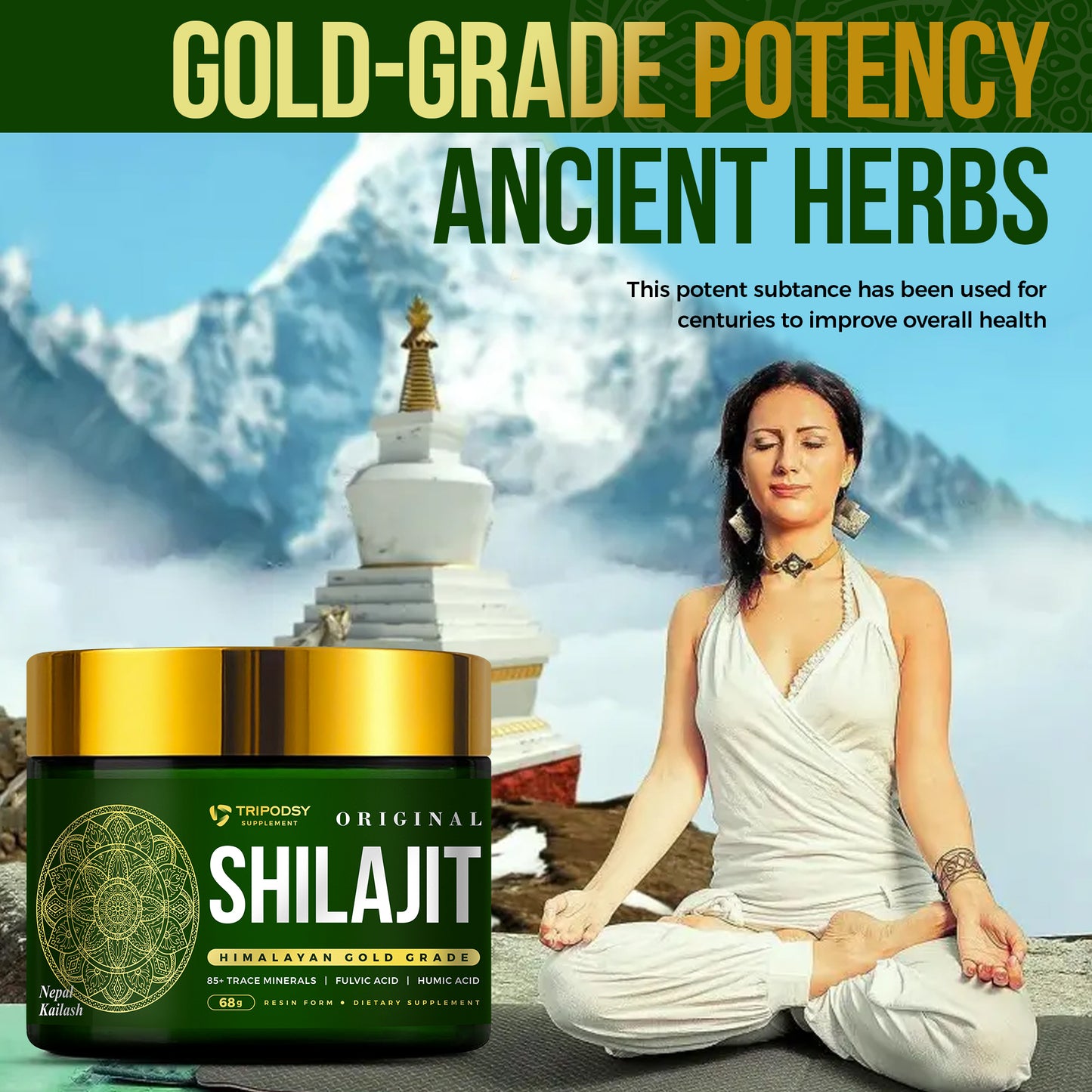 Pure Himalayan Shilajit Resin 600mg - Original Supplement for Immune Support, for Men & Women, 68g, 113 Servings